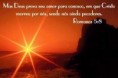 /album/galeria-de-fotos/amor-de-deus-jpeg/